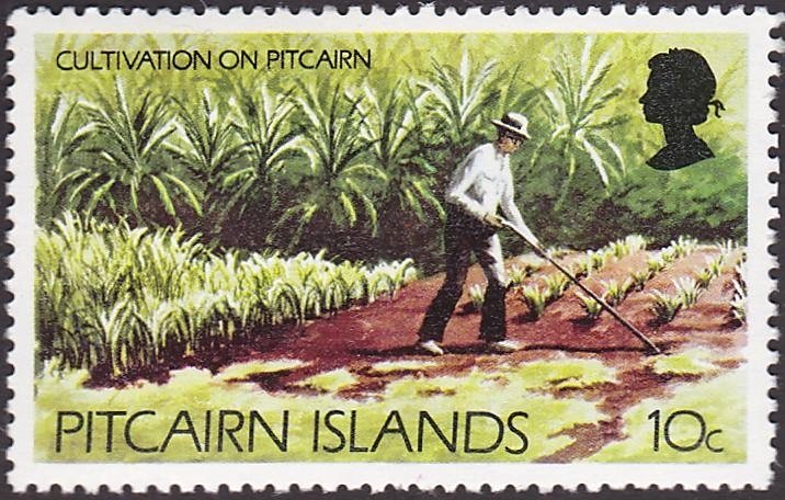 Pitcairn Islands