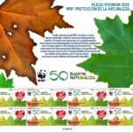 Sello solidario. WWF. Protección de la naturaleza