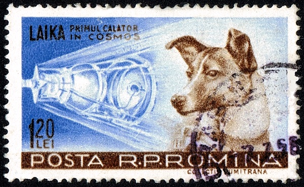 Laika