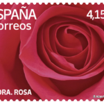 Flora. Rosa