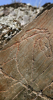 arte rupestre prehistórico de Siega Verde